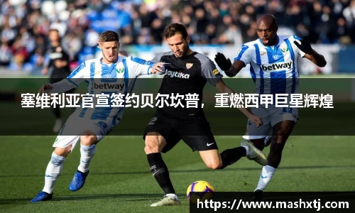米兰体育官网