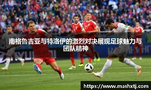 南格鲁吉亚与特洛伊的激烈对决展现足球魅力与团队精神